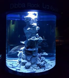 Sharjah Aquarium 