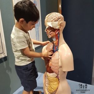 Learning about human body at Sharjah Science Museum