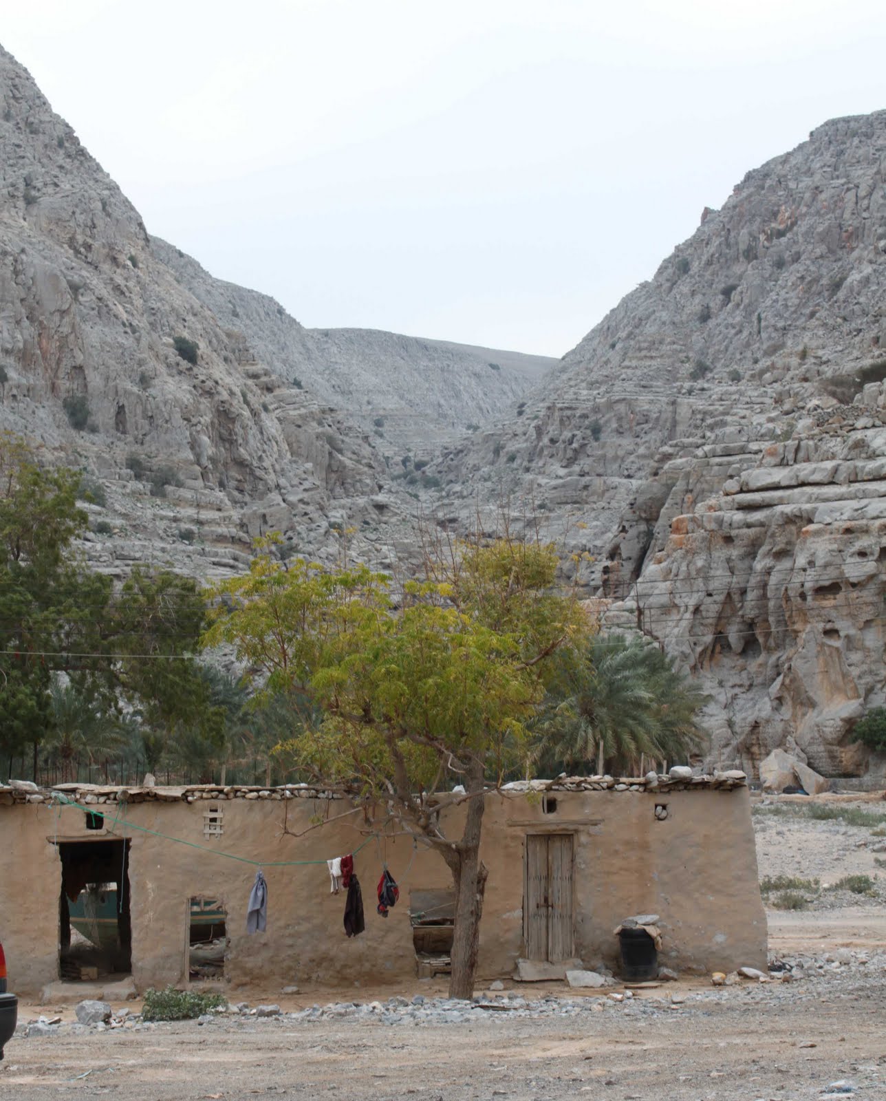 Into the wild in Musandam, Oman | Sustainability Tribe