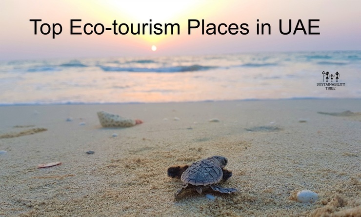 eco tourism uae
