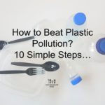 <a class="amazingslider-posttitle-link" href="https://sustainabilitytribe.com/december/how-to-live-plastic-free-here-are-10-simple-steps/" target="_self">How to beat plastic pollution? Here are 10 simple steps</a>