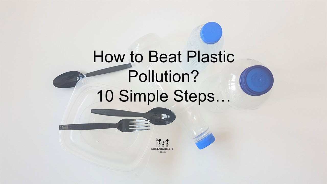 <a class="amazingslider-posttitle-link" href="https://sustainabilitytribe.com/december/how-to-live-plastic-free-here-are-10-simple-steps/" target="_self">How to beat plastic pollution? Here are 10 simple steps</a>