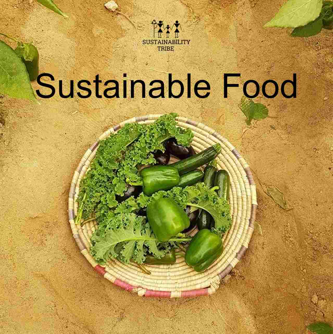 Sustainable Food Understanding Environmental & Social Aspects