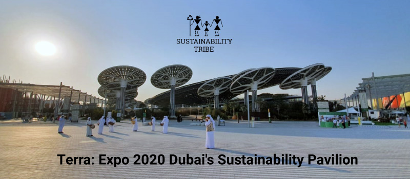 Inside Expo 2020 Dubai’s Sustainability Pavilion | Sustainability Tribe