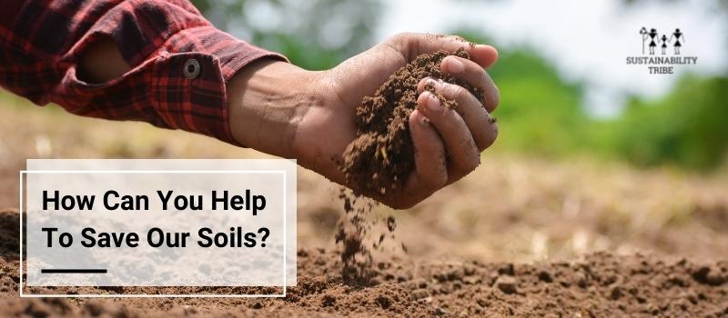 How Can You Help To Save Our Soils? | Sustainability Tribe